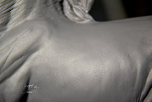 Load image into Gallery viewer, Annie, a new mold is being made.
