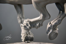 Load image into Gallery viewer, Annie, a new mold is being made.