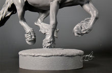 Load image into Gallery viewer, Annie, a new mold is being made.