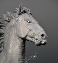 Load image into Gallery viewer, Annie, a new mold is being made.