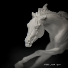 Load image into Gallery viewer, Mini ChaCha