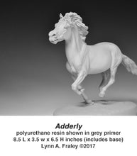 Load image into Gallery viewer, Adderly