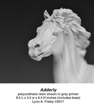 Load image into Gallery viewer, Adderly