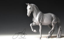 Load image into Gallery viewer, Coeur Bella