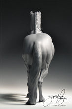 Load image into Gallery viewer, Coeur Bella