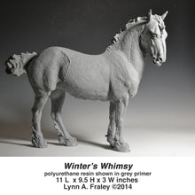 Load image into Gallery viewer, Winter's Whimsy