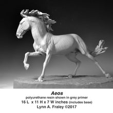 Load image into Gallery viewer, Aeos, temporarily unavailable, new mold being made
