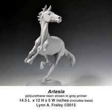 Load image into Gallery viewer, Artesia