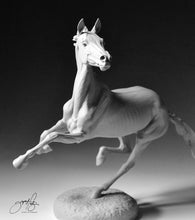 Load image into Gallery viewer, Artesia
