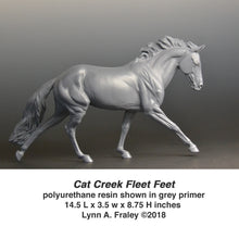 Load image into Gallery viewer, Cat Creek Fleet Feet
