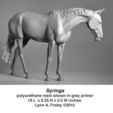 Load image into Gallery viewer, Syringa
