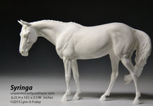 Load image into Gallery viewer, Syringa