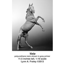 Load image into Gallery viewer, Vata