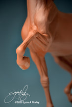 Load image into Gallery viewer, FireBrite McDonald