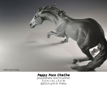 Load image into Gallery viewer, Peppy Poco ChaCha