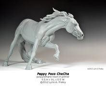 Load image into Gallery viewer, Peppy Poco ChaCha