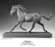 Load image into Gallery viewer, Torran