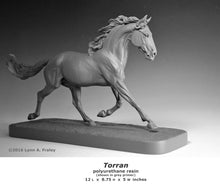 Load image into Gallery viewer, Torran