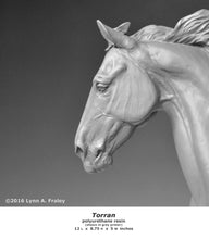 Load image into Gallery viewer, Torran