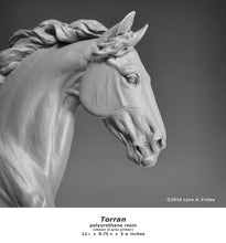 Load image into Gallery viewer, Torran