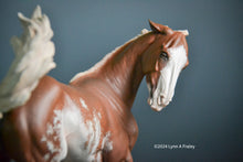 Load image into Gallery viewer, Sadie ShooFly, painted by Lynn