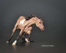 Load image into Gallery viewer, Mini ChaCha, painted buckskin tobiano by Lynn Fraley