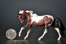 Load image into Gallery viewer, Rompaduex, painted by Lynn