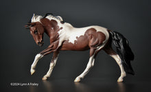 Load image into Gallery viewer, Rompaduex, painted by Lynn