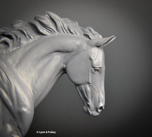 Load image into Gallery viewer, Cat Creek Fleet Feet