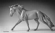 Load image into Gallery viewer, Cat Creek Fleet Feet