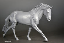 Load image into Gallery viewer, Cat Creek Fleet Feet