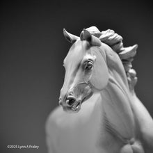 Load image into Gallery viewer, Glory