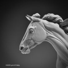 Load image into Gallery viewer, Glory