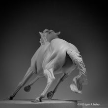 Load image into Gallery viewer, Glory