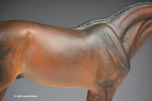 Load image into Gallery viewer, Heritage Ember