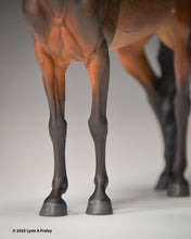 Load image into Gallery viewer, Heritage Ember