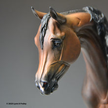 Load image into Gallery viewer, Heritage Ember