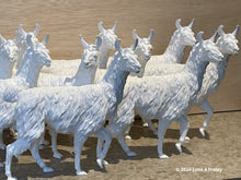 Load image into Gallery viewer, Squeeeee, a Llama