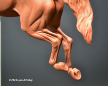 Load image into Gallery viewer, Gammon (curio/vente)