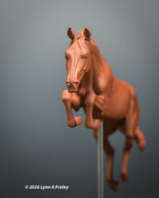 Load image into Gallery viewer, Gammon (curio/vente)