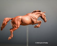 Load image into Gallery viewer, Gammon (curio/vente)