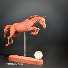 Load image into Gallery viewer, Gammon (curio/vente)