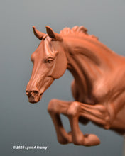 Load image into Gallery viewer, Gammon (curio/vente)