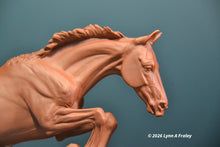 Load image into Gallery viewer, Gammon (curio/vente)