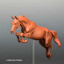 Load image into Gallery viewer, Gammon (curio/vente)