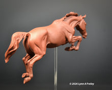 Load image into Gallery viewer, Gammon (curio/vente)