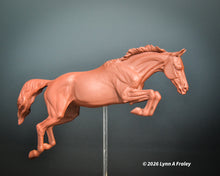 Load image into Gallery viewer, Gammon (curio/vente)