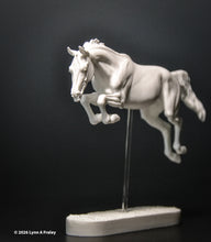Load image into Gallery viewer, Gammon (curio/vente)