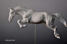 Load image into Gallery viewer, Gammon (curio/vente)