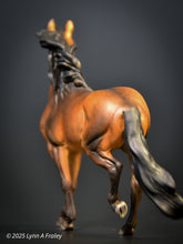 Load image into Gallery viewer, Pampero resin painted by Lynn